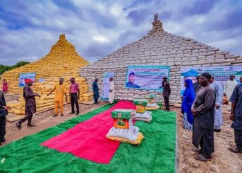 Zamfara State Agricultural Revolution Embodies Nigeria’s Push for Local Value Addition