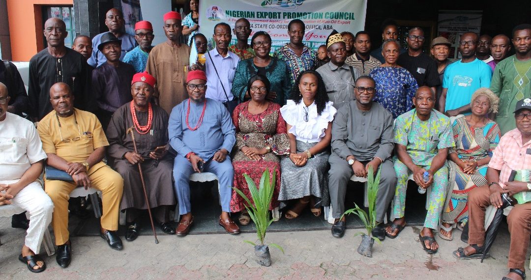 NEPC, RMRDC Strategise to Boost Palm Oil Exports Through Cluster Development in Abia State