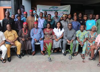 NEPC, RMRDC Strategise to Boost Palm Oil Exports Through Cluster Development in Abia State