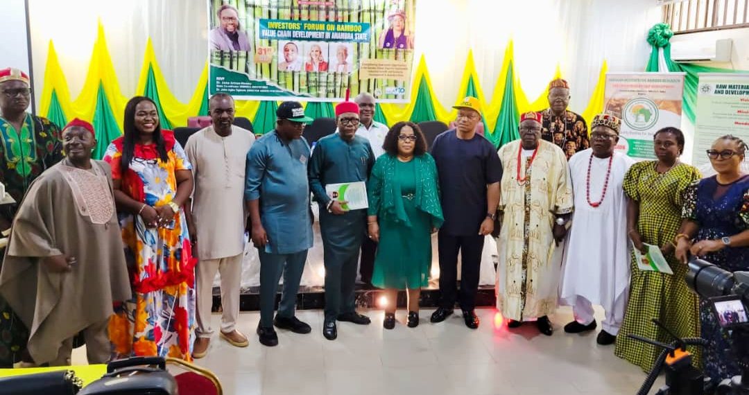 RMRDC Advocates Investment in Bamboo Value Chain for Sustainable Growth in Anambra