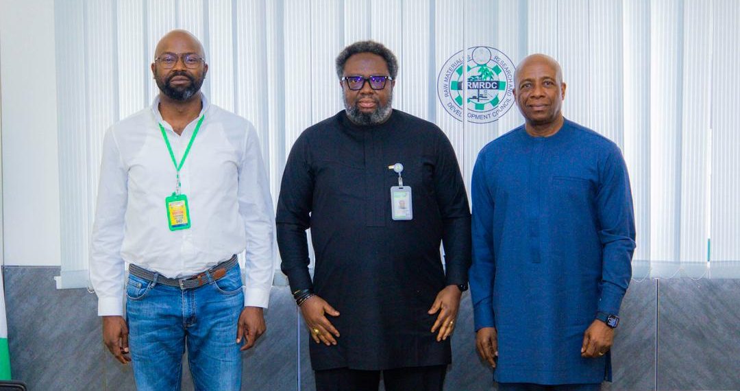 Data Analytics & Solutions International Seeks Strategic Partnership with RMRDC to Power National Sustainable Energy Initiative