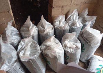 RMRDC Plateau Office Visits Jos-Based Organic Fertilizer Firm to Strengthen Local Raw Materials Utilization