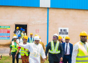 Firm, RMRDC Commend President Tinubu On Ban on Export of Raw Shea Nut