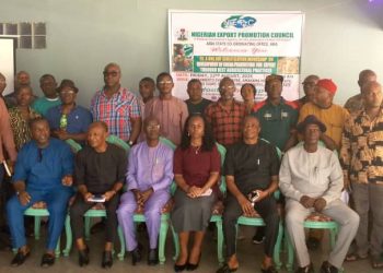 Cocoa Value Chain: RMRDC and NEPC Partner to Boost Production.
