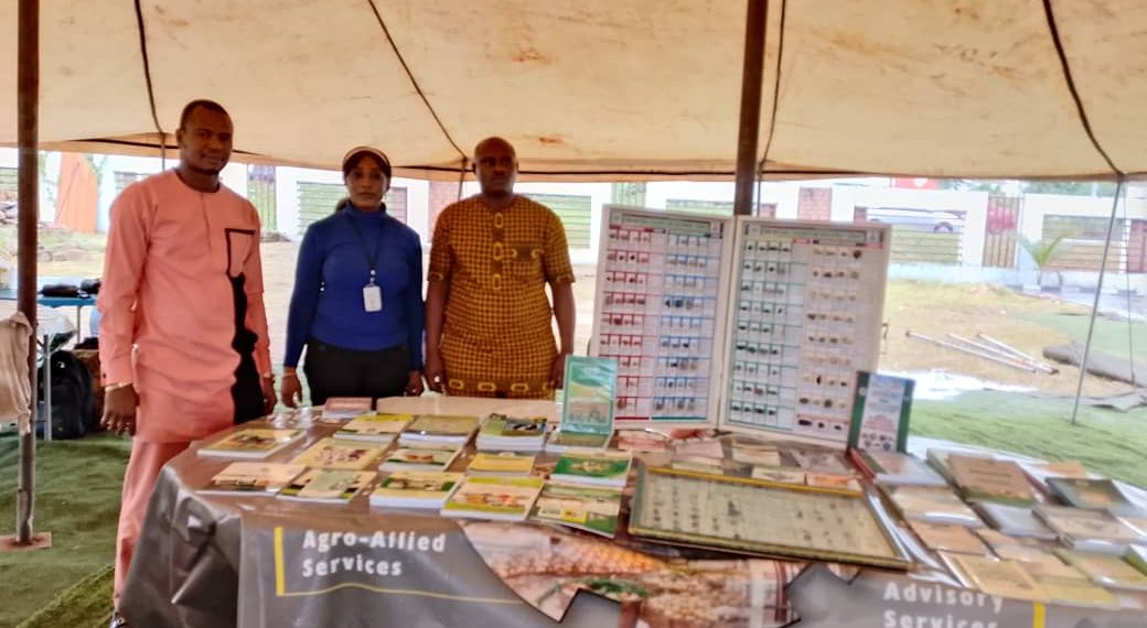 RMRDC Showcases Industrial Innovation at NACCIMA Q3 Council Meeting and Made-in-Anambra Exhibition