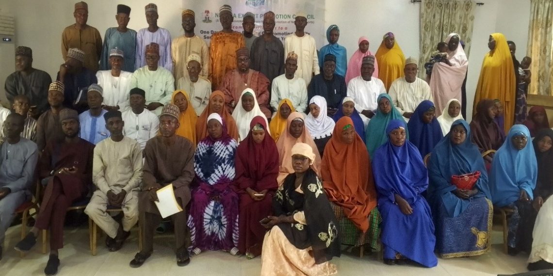 RMRDC, NEPC Empower Sesame Seed Cluster in Yobe through Capacity Building and Export Promotion