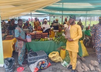 RMRDC Joins Ogun State Government to Commemorate 2025 World Food Day