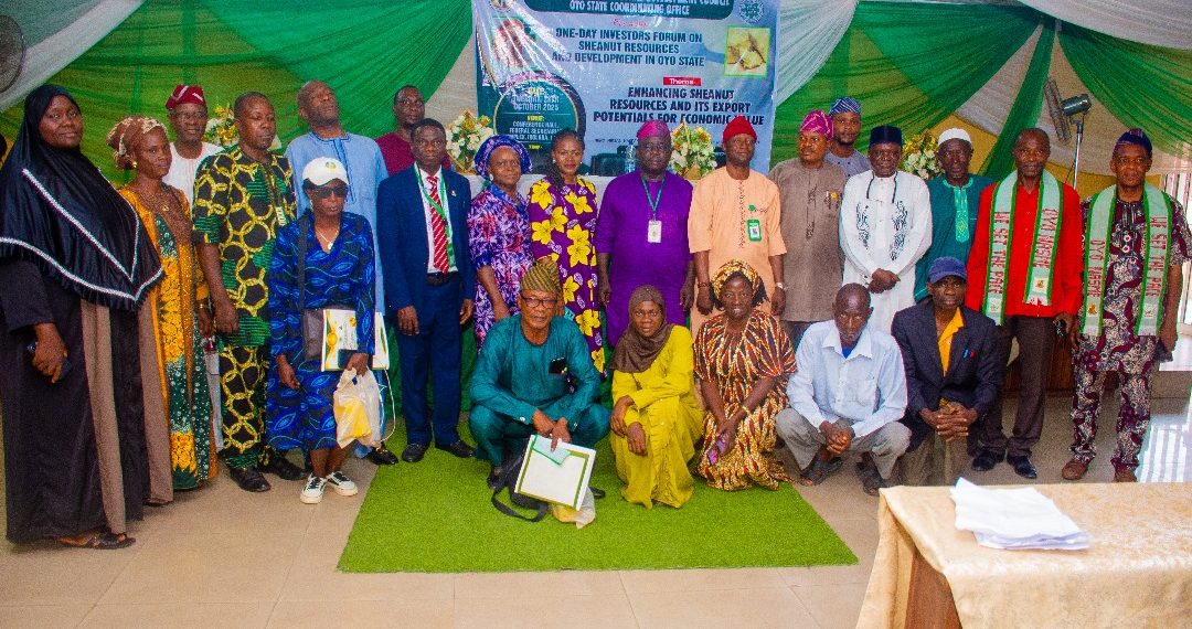 Building Wealth from Nature: Investors Gather in Oyo to Boost Shea Industry and Export Value