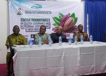 RMRDC Backs Cocoa Export Drive in Akwa Ibom