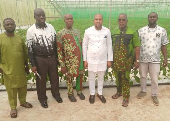 Edo RMRDC Seeks Strategic Collaboration with Well-Hosa Greenhouse Farm