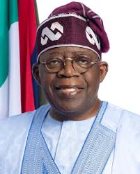 Tinubu Extends Raw Shea Nut Export Ban, As RMRDC Urges Swift Passage of 30% Value Addition Bill