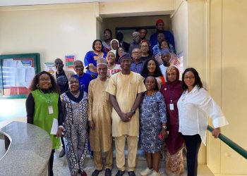 RMRDC DG, Professor Ike-Muonso Calls for Action on Import Substitution, Value Addition