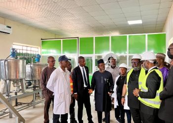 Its Time To Project RMRDC’s Milestones Within and Globally, Minister Says