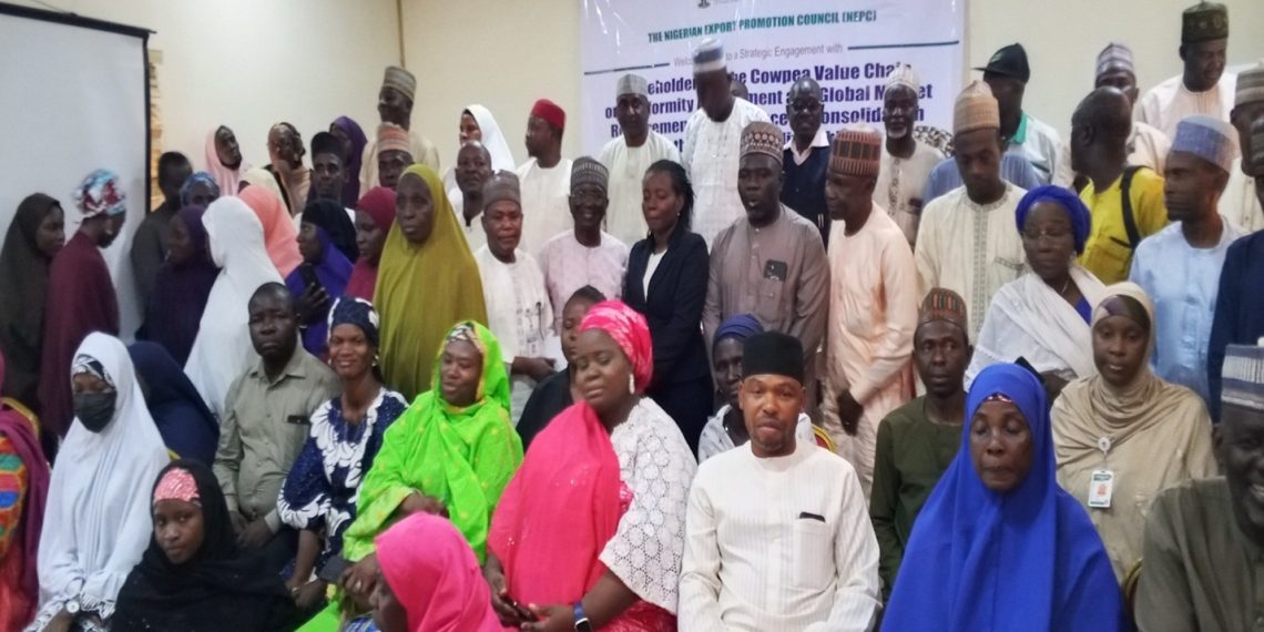 NEPC, RMRDC Drive Cowpea Export Compliance, Value Addition in Gombe
