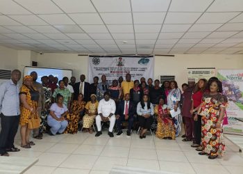 RMRDC Urges Best Practices On Bee Farming For Global Market