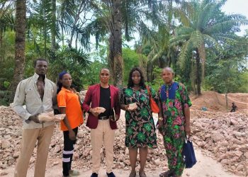 Unlocking the Hidden Treasures Of Nsu Clay’s Industrial Potential
