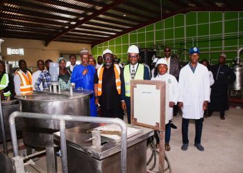 Udeh Drives Industrial Transformation, Pushes Local Raw Materials Value Addition for Economic Growth