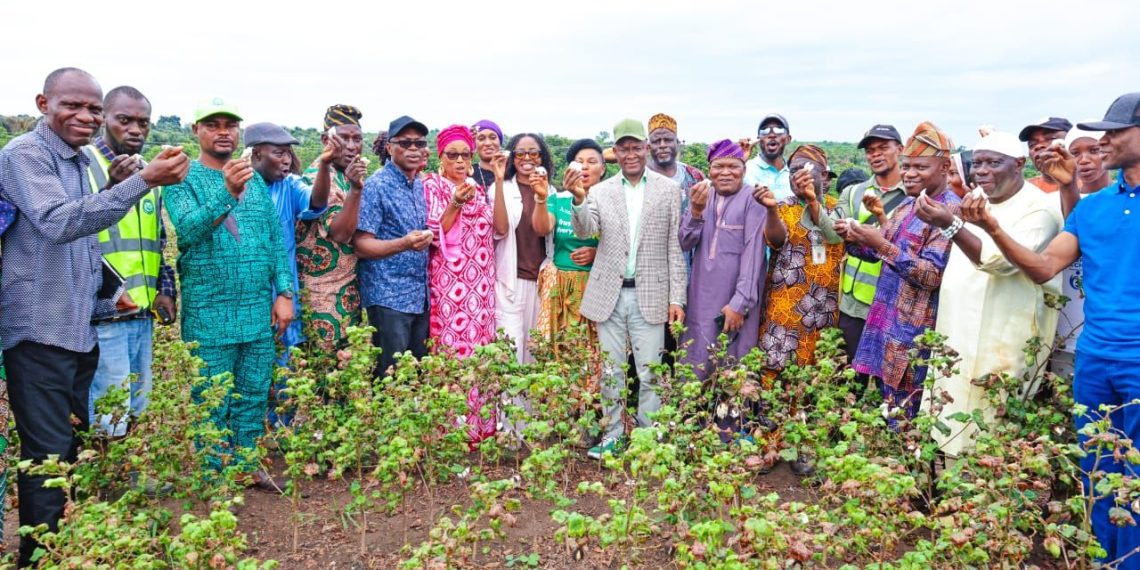 RMRDC Joins National Cotton Harvest, Signals Readiness for Industry Scale-Up