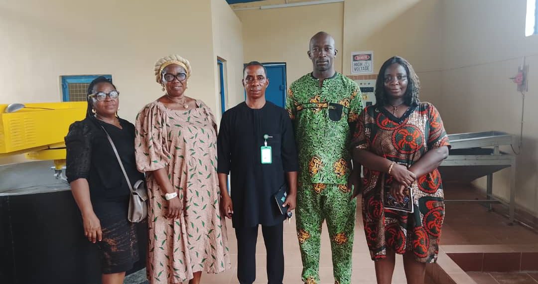 RMRDC Moves to Boost Cassava Value Chain, Targets Awo-Omamma Processing Hub for Industrial Growth