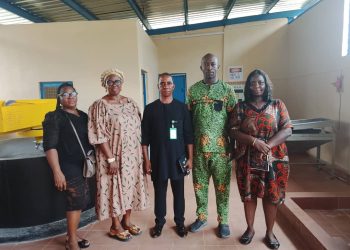 RMRDC Moves to Boost Cassava Value Chain, Targets Awo-Omamma Processing Hub for Industrial Growth