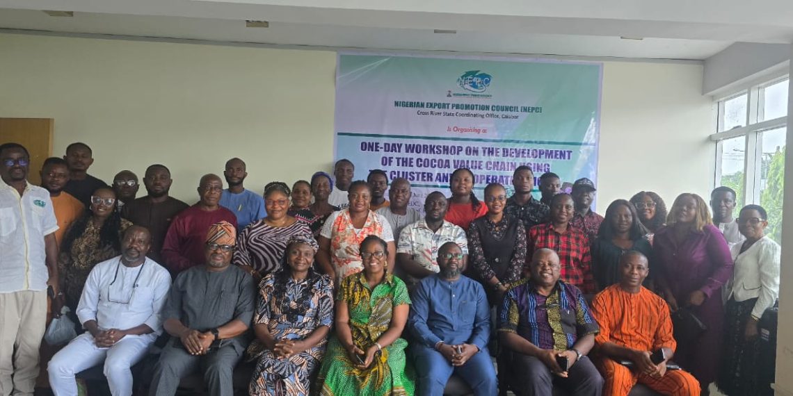 RMRDC Advocates Cluster and Cooperative Model for Sustainable Cocoa Value Chain Development in Cross River