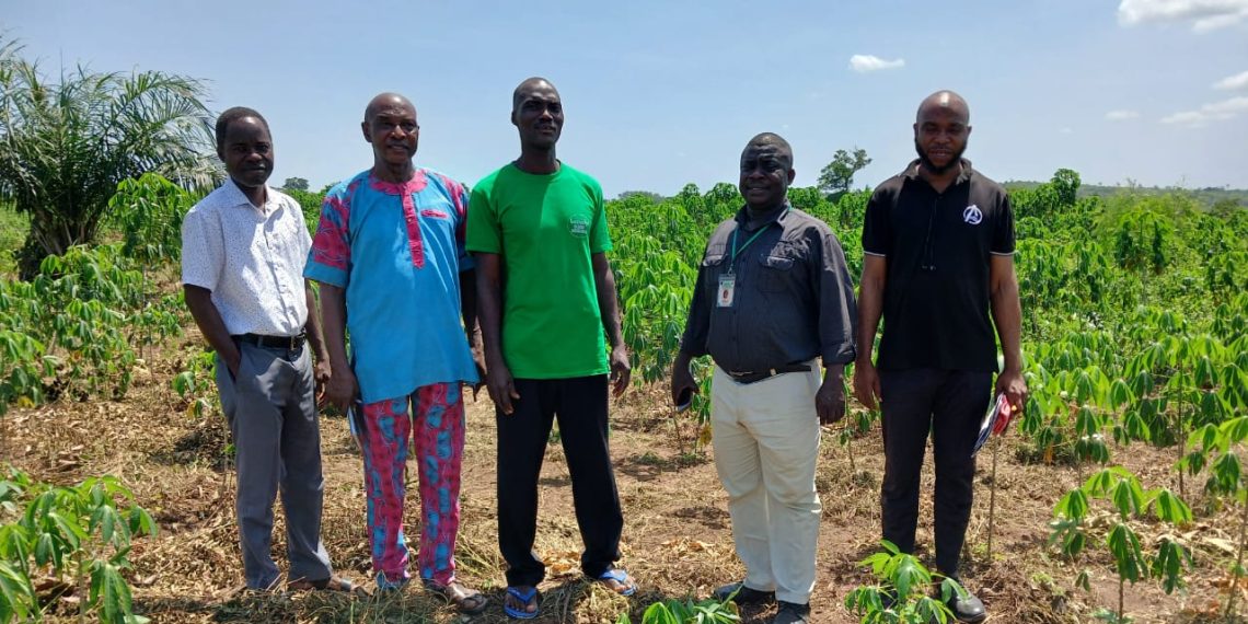 RMRDC Explores Partnership with SONMAUYEK to Advance Cassava Value Addition