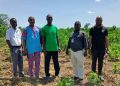 RMRDC Explores Partnership with SONMAUYEK to Advance Cassava Value Addition