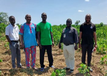 RMRDC Explores Partnership with SONMAUYEK to Advance Cassava Value Addition